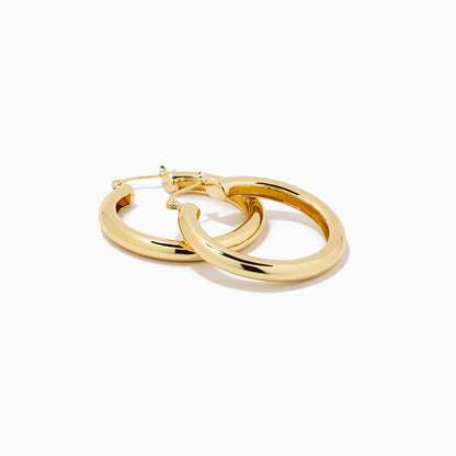 ["Staple Hoop ", " Gold ", " Product Detail Image ", " Uncommon James"]