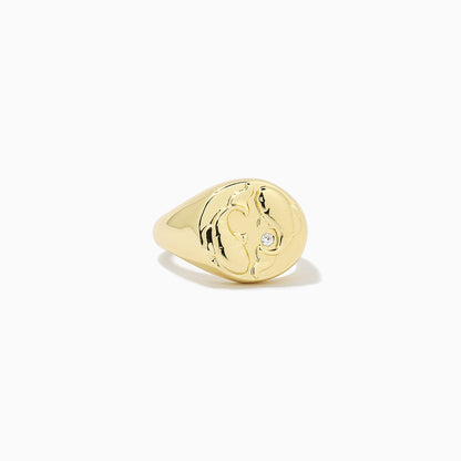 ["Zodiac Ring ", " Gold PISCES ", " Product Image ", " Uncommon James"]