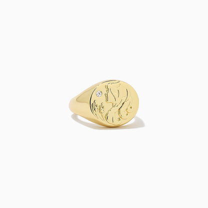 ["Zodiac Ring ", " Gold VIRGO ", " Product Image ", " Uncommon James"]