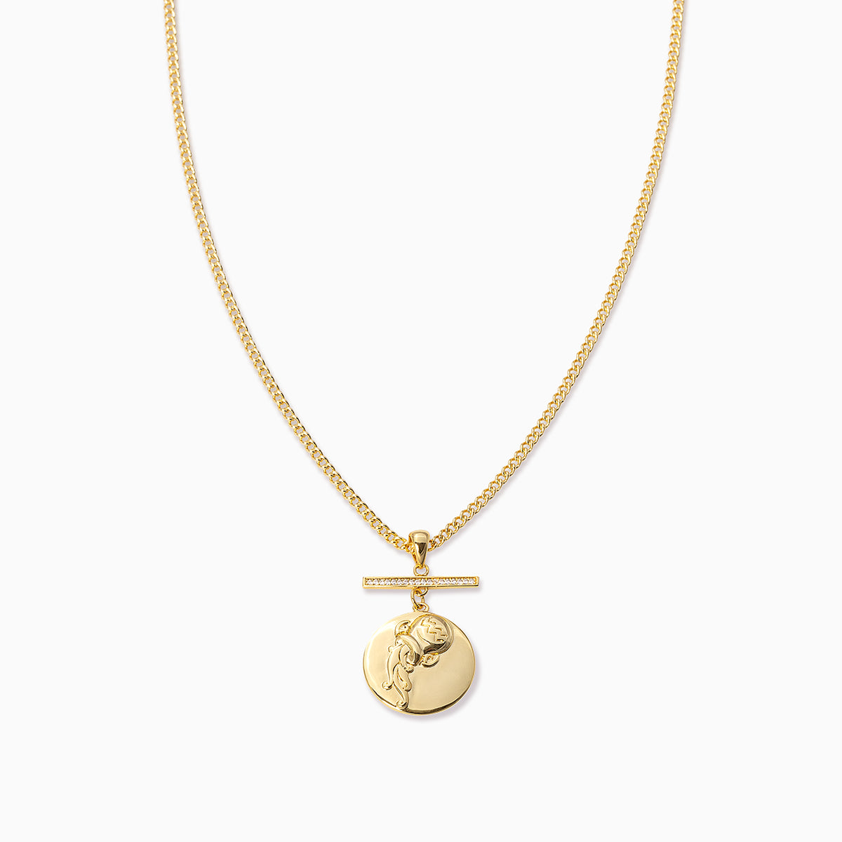 Zodiac Pendant Necklace | Gold Aquarius | Product Image | Uncommon James