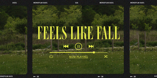 Listen Up: Fall Playlist