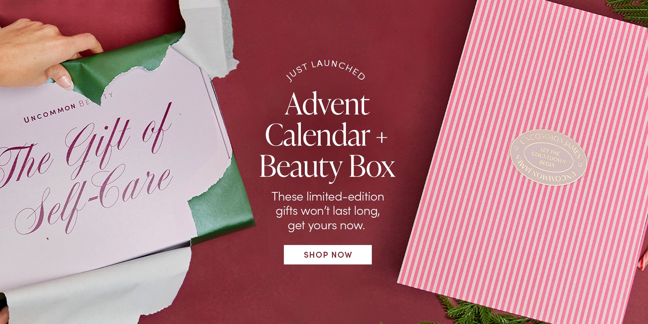 JUST LAUNCHED | Advent Calendar + Beauty Box | These limited-edition gifts won't last long, get yours now. SHOP NOW