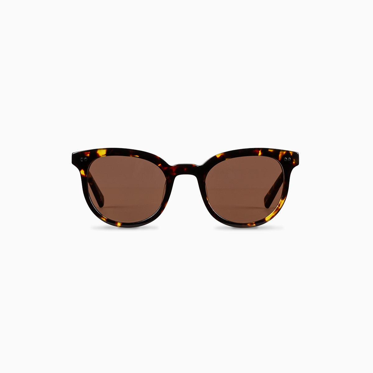 Round Wayfarer Sunglasses | Tort | Product Image | Uncommon James Home
