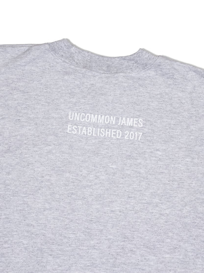 ["Not in the Mood Sweatshirt ", " Ash ", " Product Detail Image 2 ", " Uncommon Lifestyle"]