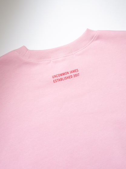 ["Forever Uncommon Sweatshirt ", "  Pink ", " Product Image ", " Uncommon Lifestyle"]