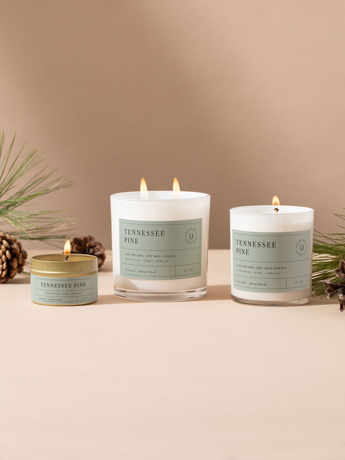 Tennessee Pine Candle | 4 OZ 10 OZ 16 OZ | Group Image | Uncommon Lifestyle