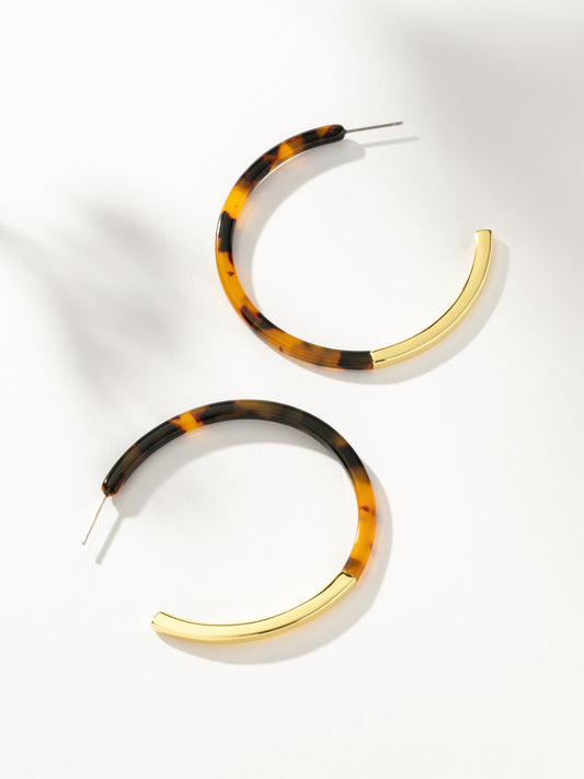 Franklin Tortoise Hoops | Gold | Product Image | Uncommon James