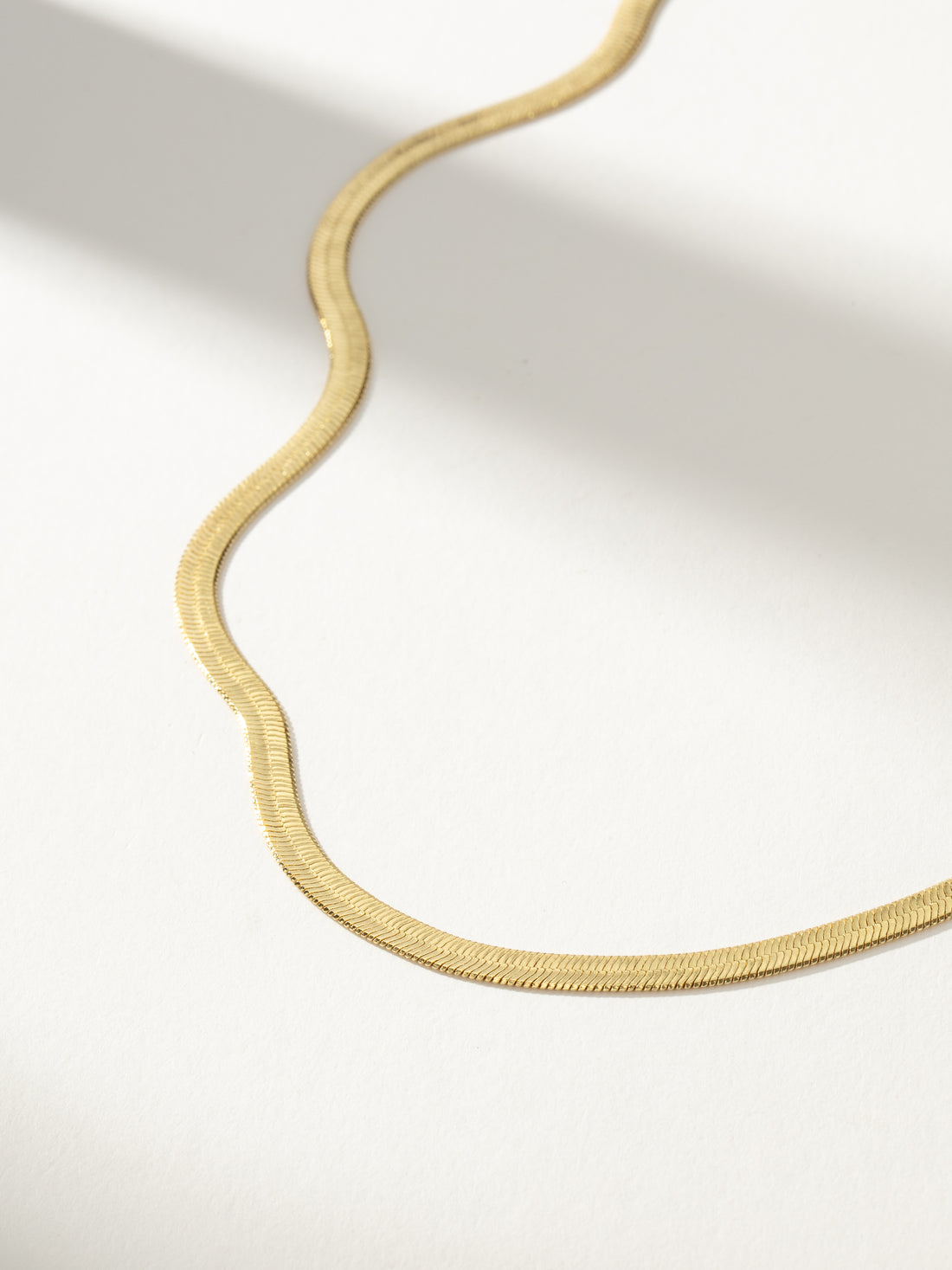 Horizon Chain Necklace in Silver main image 0