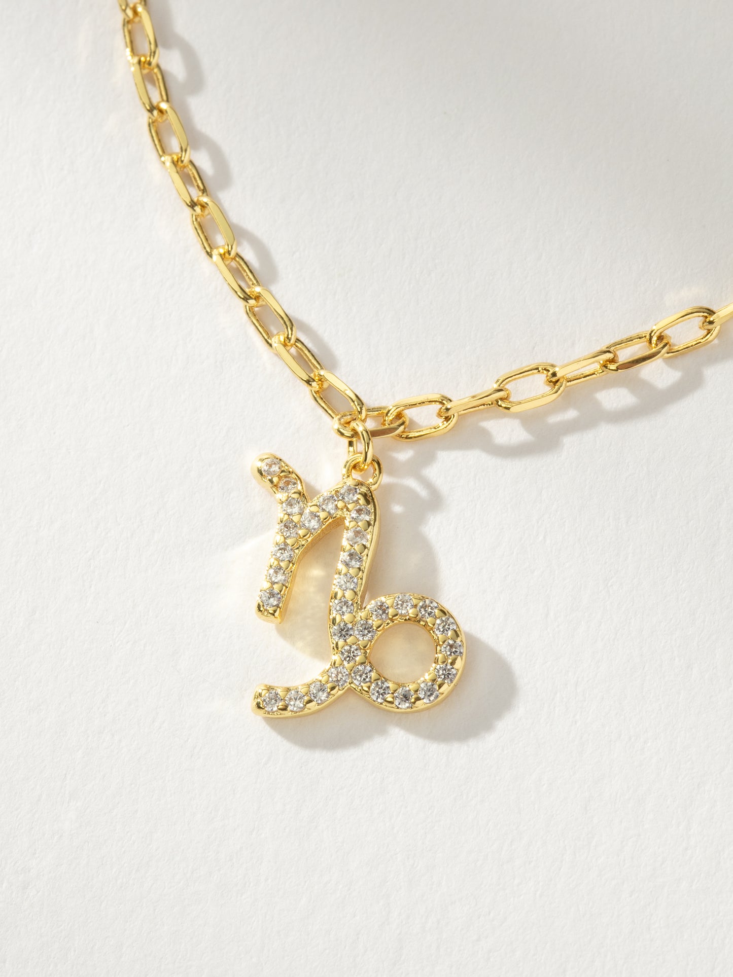 Zodiac Icon Chain Necklace | Gold Capricorn | Product Detail Image | Uncommon James