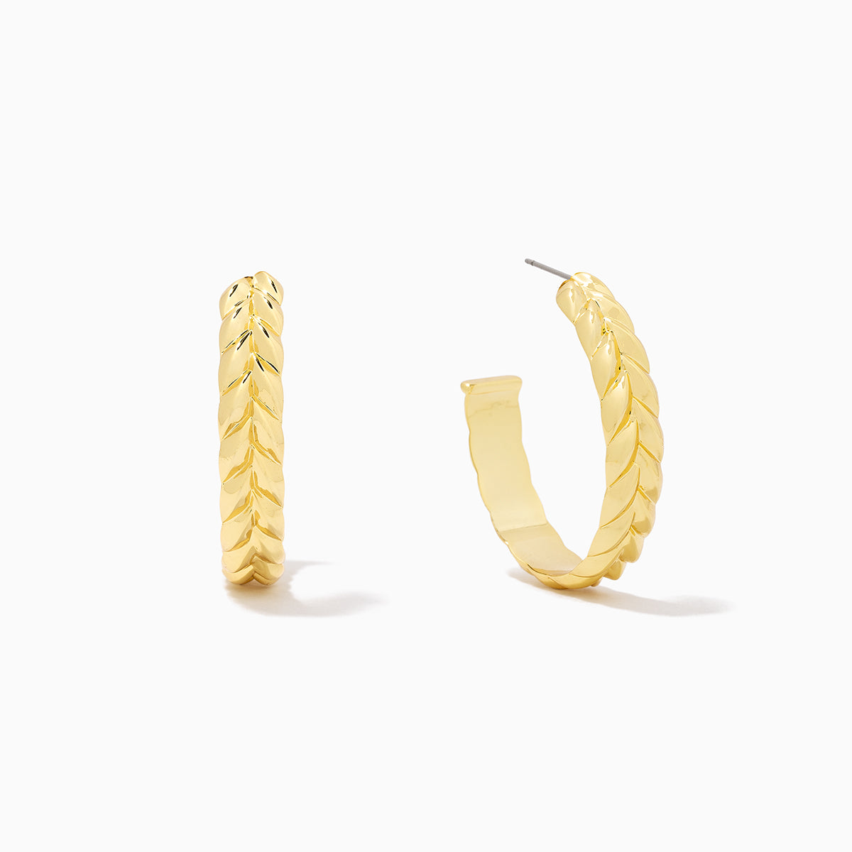 Vine Hoop Earrings | Gold | Product Image | Uncommon James