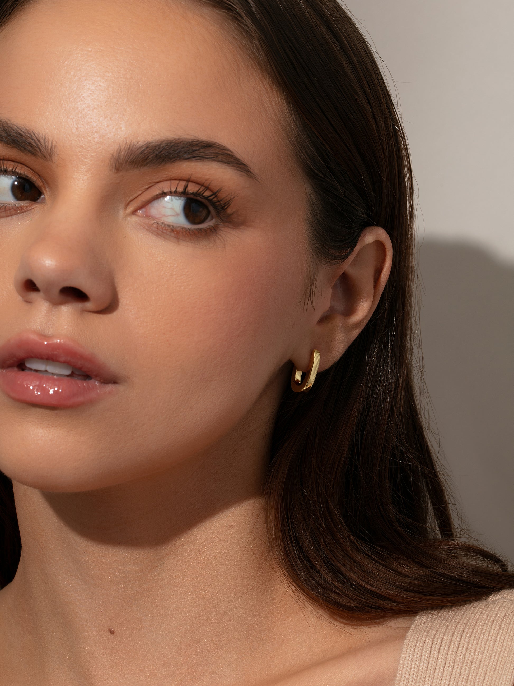 Oval Huggie Earrings - Main Image