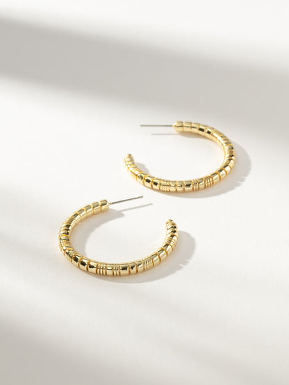 ["Next Level Hoop Earrings ", " Gold ", " Product Image ", " Uncommon James"]