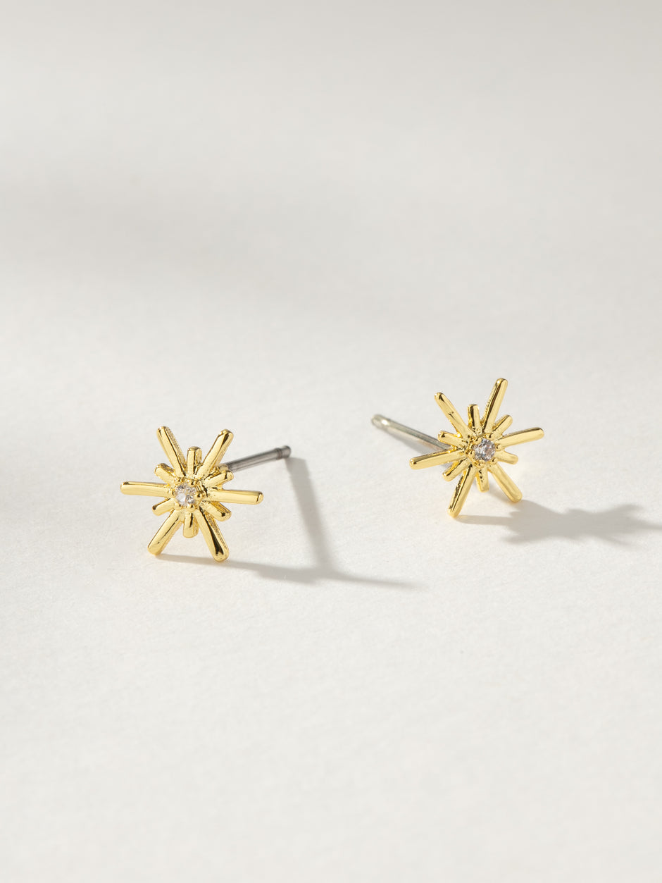 Stud Earrings