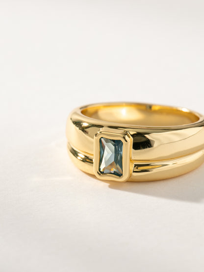 ["Birthstone Ring ", " Gold December ", " Product Image Detail ", " Uncommon James"]
