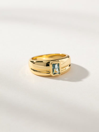 ["Birthstone Ring ", " Gold December ", " Product Image Detail ", " Uncommon James"]