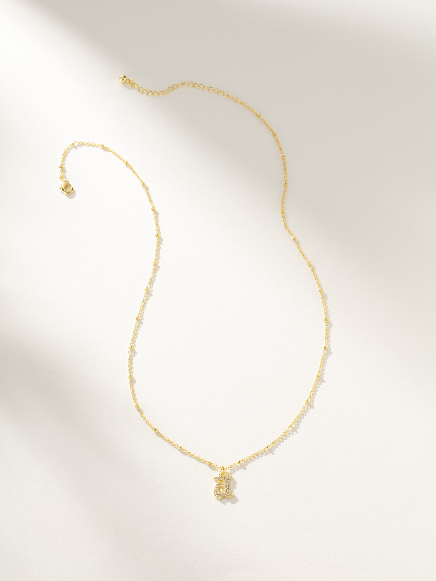 Made to Shine Initial Necklace | Gold | Product Image | Uncommon James