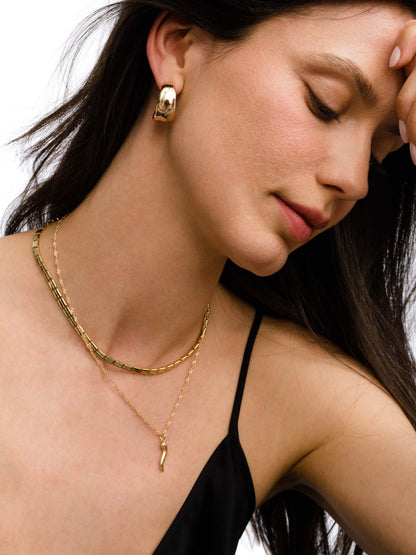 ["Italian Horn Necklace"]