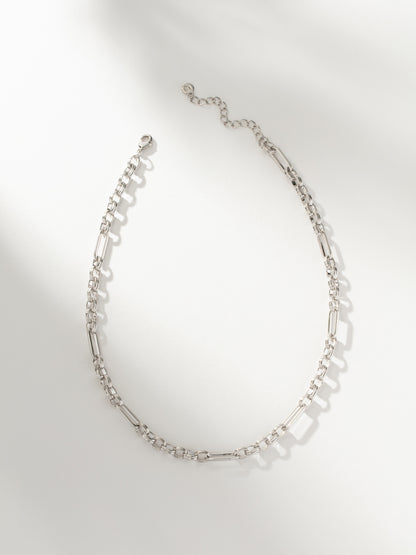 ["Linked Charm Collector Necklace ", " Silver ", " Product Image ", " Uncommon James"]