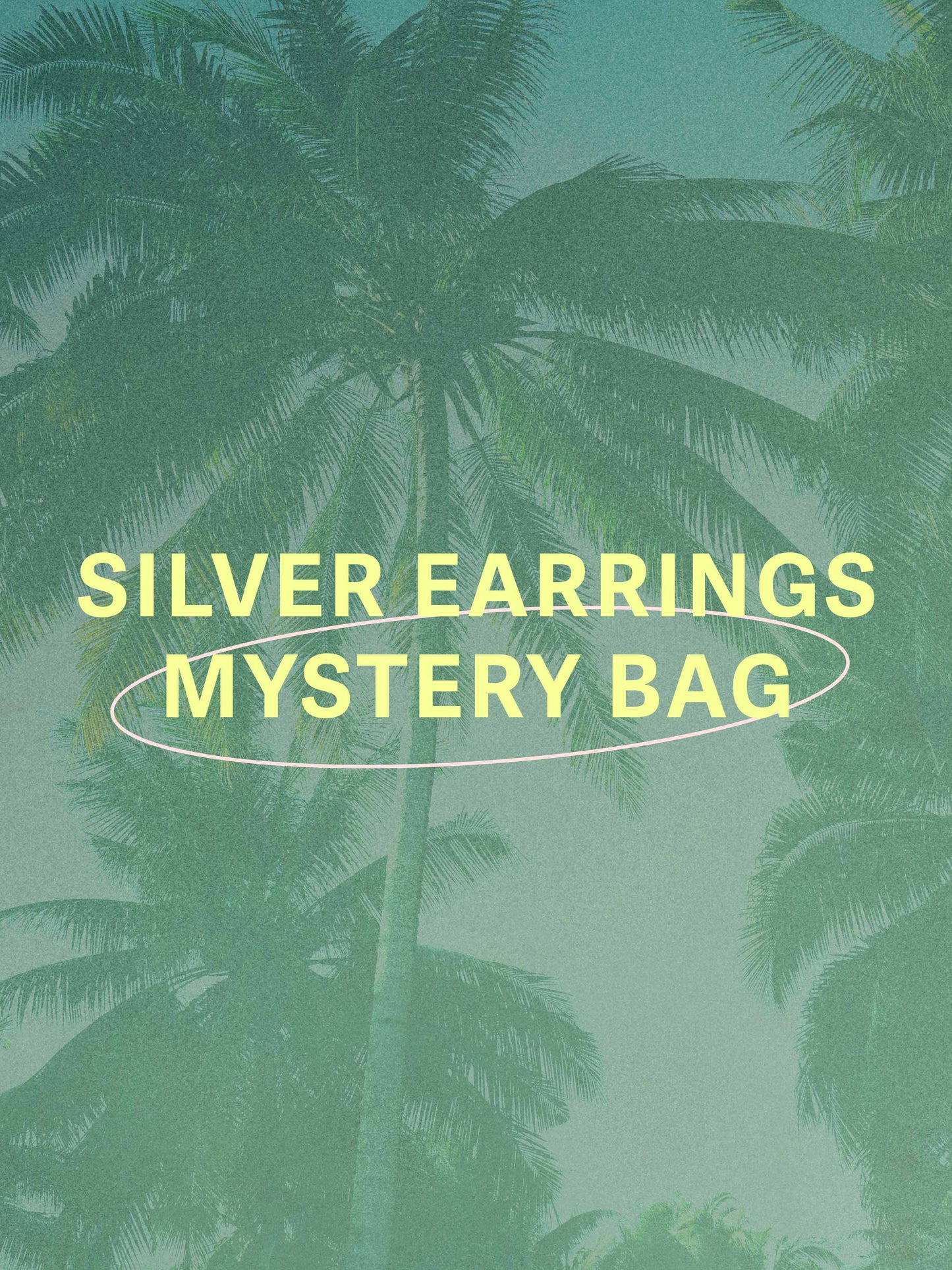 Silver Earrings Mystery Bag