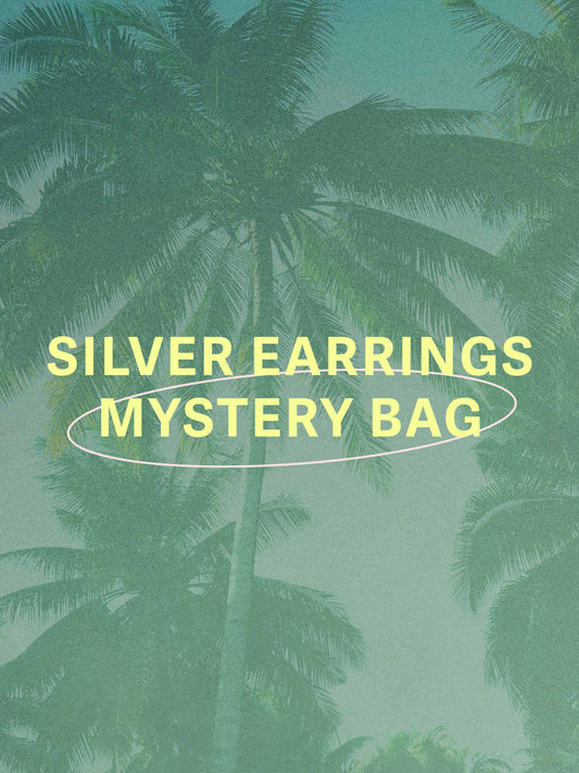 Silver Earrings Mystery Bag