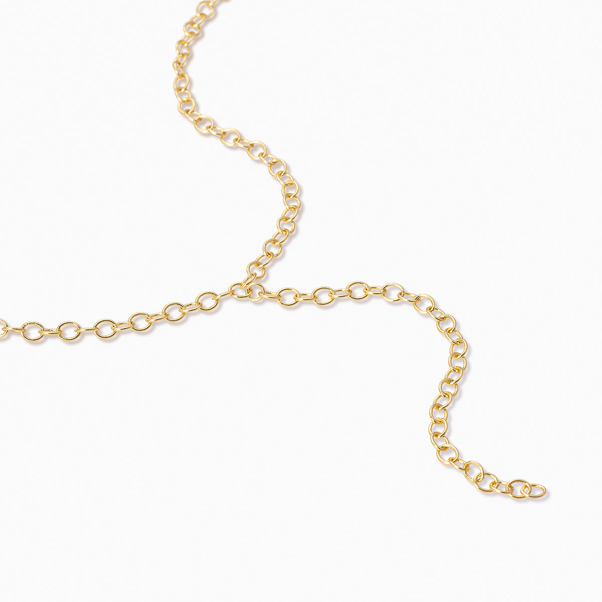 Circle Chain Lariat Necklace | Gold | Product Detail Image | Uncommon James