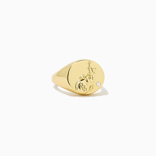 Zodiac Ring | Gold AQUARIUS | Product Image | Uncommon James