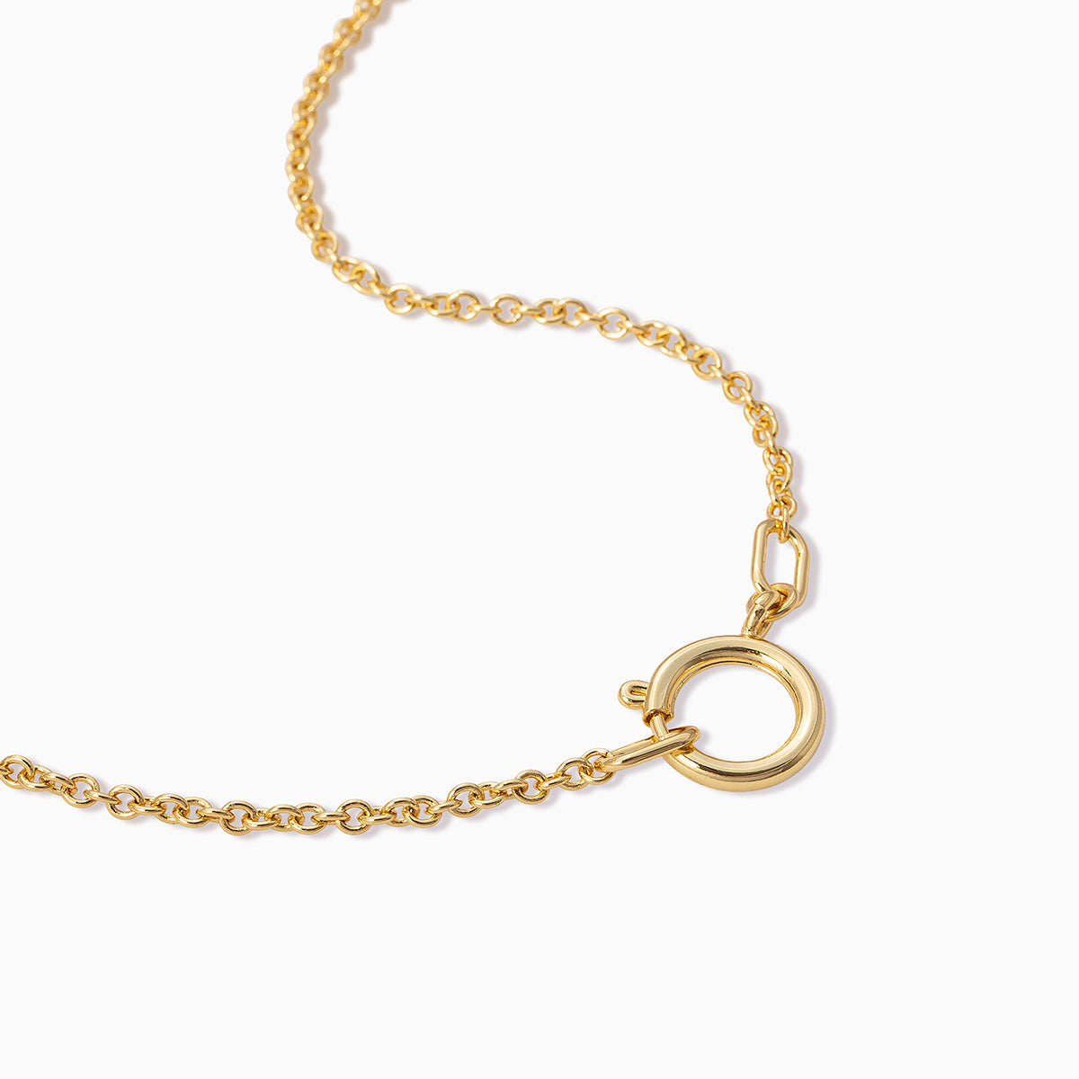 Charming Necklace | Gold | Product Detail Image | Uncommon James