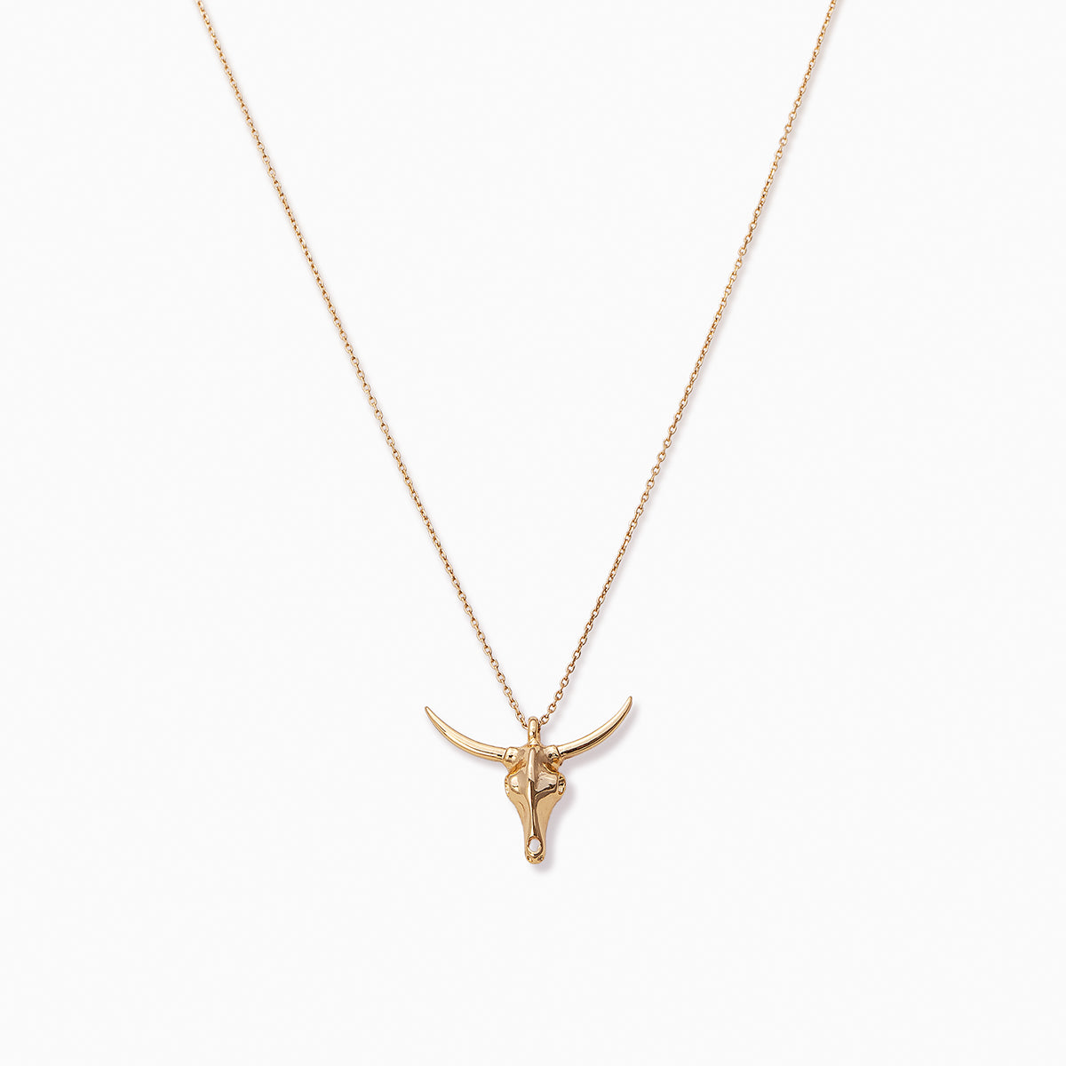 Undecided Chain Lariat Necklace in Gold | Uncommon James
